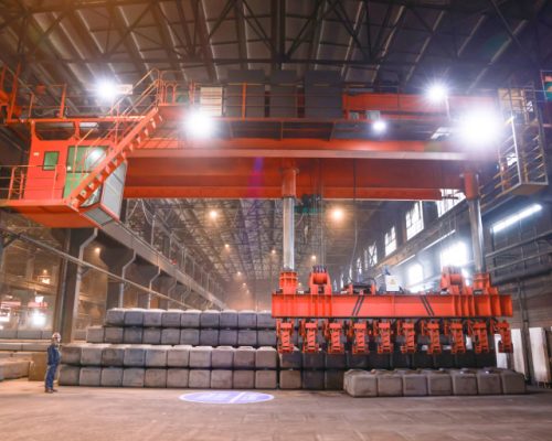 A Multifunctional Suction Bridge Crane